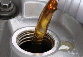 la densità dell'olio motore. Come e perché è necessario determinare la densità di olio motore?
