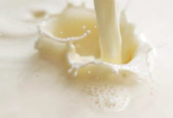 Come preparare un latte fermentato cotto a casa: una ricetta