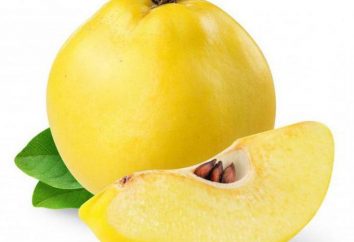 ¿Cuál es el membrillo calórica? información interesante acerca de las frutas inusuales