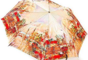 Umbrella Zest – ein hervorragender Schutz bei schlechtem Wetter