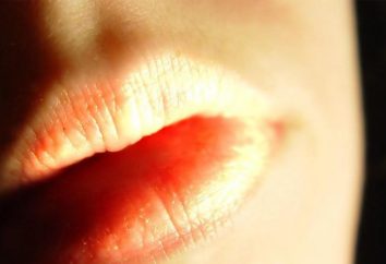 Lips – Contorno. Recensioni e foto
