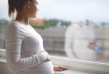 Punção da bexiga antes do parto: indicações, técnica, revisões