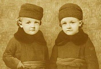 Sergey Ilich Oulianov – frère jumeau de Lénine: biographie, des photos. Enfants Sergei Ilyich Ulyanov