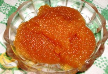 Tipos de caviar vermelho – como distingui-los uns dos outros? Como escolher e armazenar?