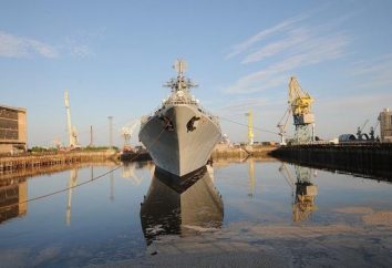 "Moskwa", krążownik rakietowy. Moskiewski krążownik rakietowy "Moskwa" jest flagowym członkiem Floty Czarnomorskiej