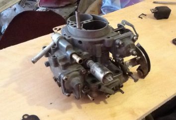 Carburador Díaz-4178: las especificaciones técnicas de ajuste