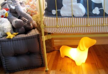 Como escolher um nightlight para o quarto de uma criança?