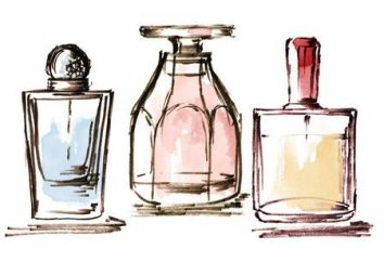 Niszowe perfumy – w … nisza perfumeryjne: opinie, ceny, zdjęcia
