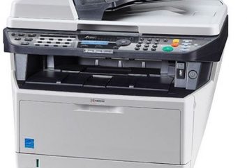 Drucker Kyocera-1035: Spezifikationen, Fehler und deren Lösungen