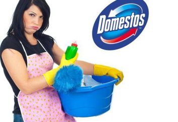 "Domestos": istruzioni per l'uso, e una varietà di suggerimenti per una perfetta pulizia in casa
