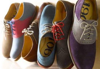 chaussures en daim: comment restaurer et quels outils peuvent être utilisés à la maison