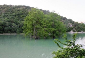 Cypress Lake (Sukko): Beschreibung, Features, Foto