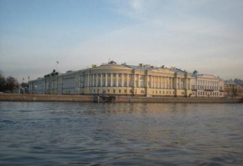 Senado y la construcción Sínodo en San Petersburgo: opiniones, descripciones, la historia y el arquitecto
