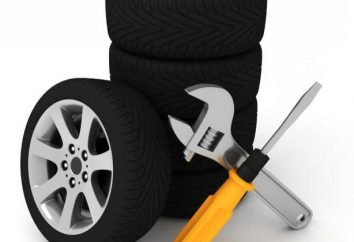 Tigar Sigura Stud pneus: comentários