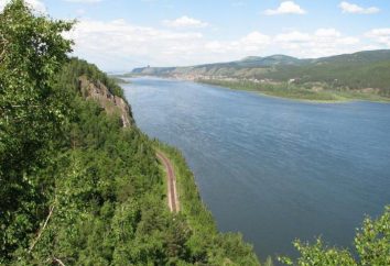 Prawo i lewy dopływ Jeniseju. Krótki opis głównych dopływów Jeniseju