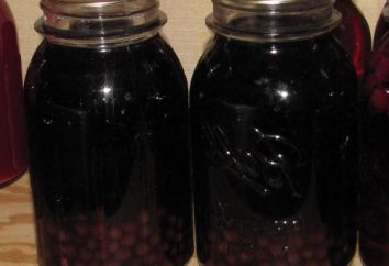 Köstliche Kompott von Trauben für den Winter ohne Sterilisation. Kompott der Trauben für den Winter: einfaches Rezept