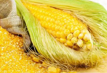 grumos de milho: propriedades benéficas, receitas