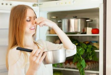 Moderna assorbitore di odore per frigoriferi: dire "no" sapori estranei!