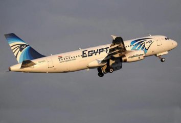 Flugzeugabsturz in Ägypten Mai 2016: Die Ursachen, die Untersuchung, die Tote