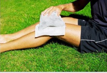 Menisken des Kniegelenks: Verletzungen und Behandlung