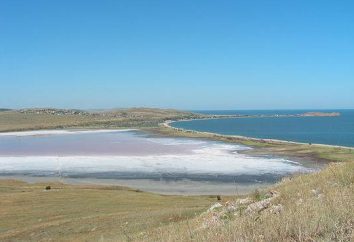 Lago Chokrak (Crimea) e il suo fango terapeutico