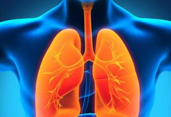 Fibro-cavernosa la tuberculosis: síntomas y tratamiento. Prevención y consejos