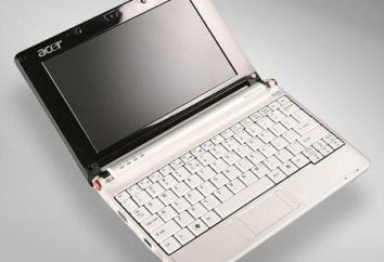 Acer ZG5: description, caractéristiques