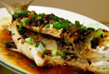 Cuocere il pesce al forno con verdure. La maggior parte deliziose ricette