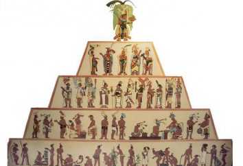 Antico Egitto struttura sociale e le sue caratteristiche