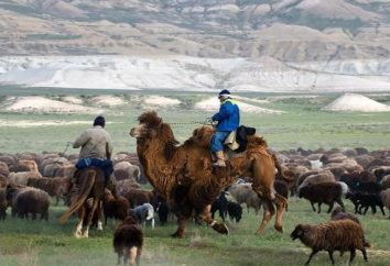 Mangyschlak – die Halbinsel in Kasachstan. Beschreibung und Foto