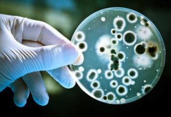 ação bactericida – o que é isso? Preparações de ação bactericida