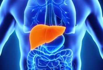 hepatite crônica B: Quantas viver com ele? Hepatite B: sintomas, tratamento, dieta