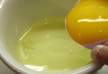 Białko omlet: przepis