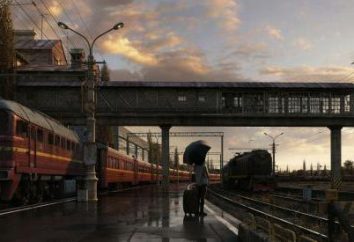 Krasnodar – Mosca: la distanza, il costo dei biglietti ferroviari
