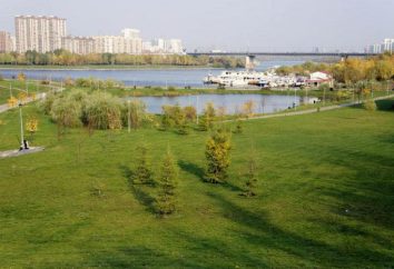 Brateevskaya Cascade Park – zona de recreo verde con un paisaje único