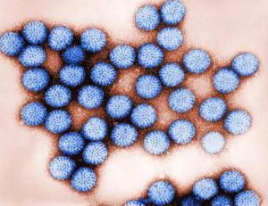 Rotavirus: Symptome eines Kindes ohne Fieber, Behandlung und Prävention