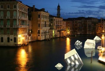 Biennale di Venezia: la descrizione, caratteristiche, storia e fatti interessanti