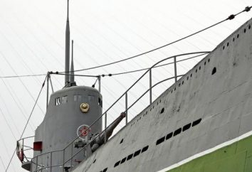 Los submarinos de la Segunda Guerra Mundial: foto. Los submarinos de la Unión Soviética y Alemania, la Segunda Guerra Mundial