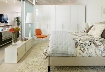 design delle camere per un giovane – per creare una confortevole area privata