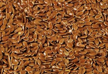 Beneficios de la semilla de lino: medicina, conocidas desde la antigüedad