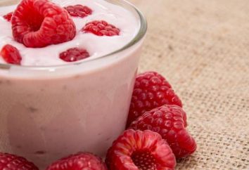 Domowy jogurt bez jogurt: przepis ze zdjęciem