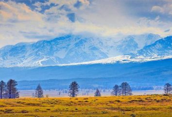 región de Altai, sanatorios: descripción, servicios, precios, comentarios