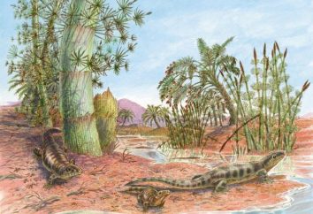 Reptiles – il … amphibiens et reptiles. anciens reptiles