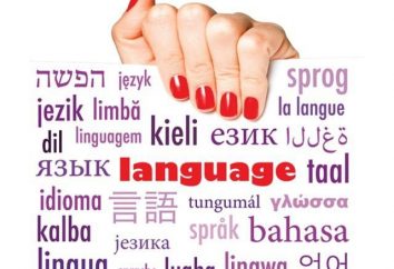 Językoznawstwo – to … Główne działy językoznawstwa
