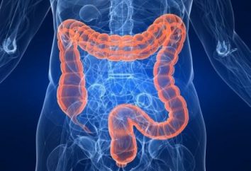 Comment améliorer les mouvements de l'intestin? Préparations et produits qui améliorent le péristaltisme intestinal