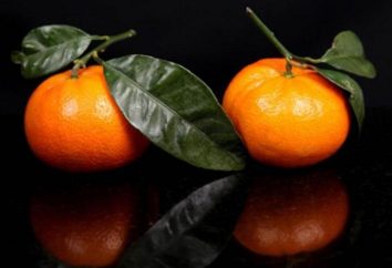 Marokkanische Mandarinen: Beschreibung, Eigenschaften, Geschmack
