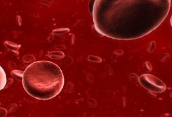 Wie erhöhen Hämoglobin: Lebensmittel, Menschen, Drogen