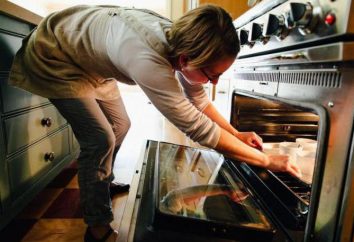 Come trasformare il forno a gas: Raccomandazioni
