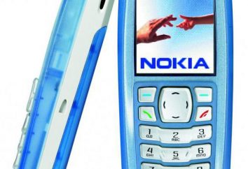 Recenzja „Nokia 3100”