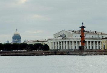 Línea de cuero en la isla Vasilyevsky